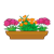 Brown Flower Box Color PNG