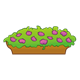Brown Flower Box with large purple flowers