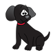 Black Puppy with red collar, sitting
