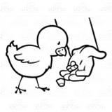 Feeding a Baby Chick