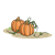 Two Pumpkins Color PNG