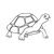 Green Turtle Line PNG