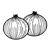 Two Onions Line PNG