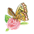 Yellow Butterfly Color PNG