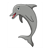 Gray Dolphin Color PDF