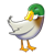 Standing Mallard Duck Color PNG