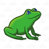 Green Sitting Frog
