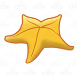 Yellow Starfish