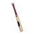 Baseball Bat Color PDF