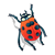 Red Ladybug Color PNG