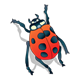 Red Ladybug with shadow