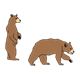 Two Bears one standing and one walking