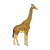 Giraffe Color PDF