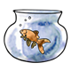 Goldfish swimming in a bowl