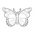 Butterfly Line PDF