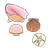 Collection of Seashells Color PNG