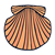 Clamshell Color PNG