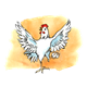 White Chicken standing on one leg, has background