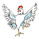 White Chicken standing on one leg