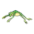Jumping Frog Color PNG