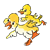 Two Yellow Ducklings Color PNG