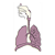 Respiratory System Color PDF