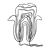 Tooth Line PNG