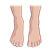 Two Feet Color PNG