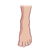 Left Foot Color PDF