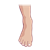 Right Foot Color PNG