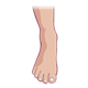 Right Foot 