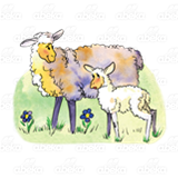 Adult and Baby Sheep