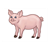 Standing Pink Pig Color PDF