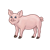 Standing Pink Pig Color PNG