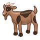 Light Brown Goat with dark brown spots