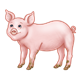 Pink Pig standing, has curly tail