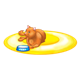 Orange Cat lying on rug with bowl of milk