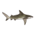 Bull Shark Color PNG