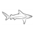 Bull Shark Line PDF