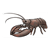 Black Lobster Color PDF