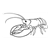Black Lobster Line PDF