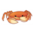 Orange Crab Color PDF