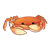 Orange Crab Color PNG