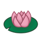 Pink Water Lily on green lily pad