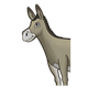 Gray Donkey head, shoulders, front legs