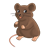 Little Brown Mouse Color PNG