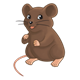 Little Brown Mouse 