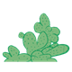 Green Cactus prickly