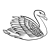 White Swan Line PNG
