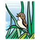 Brown Songbird in tall grass